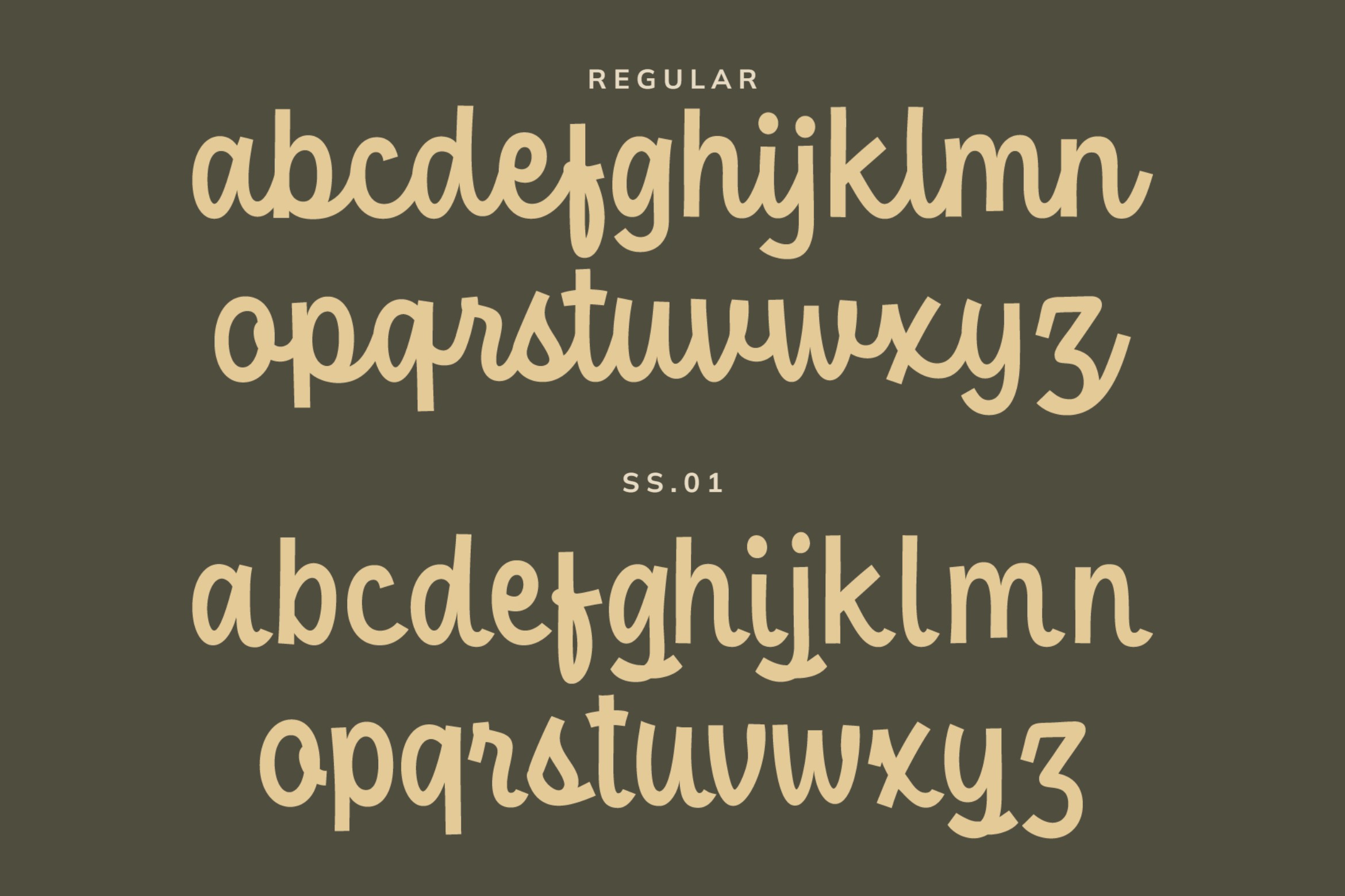 Two serif font weights compared side by side showing regular versus stylized variations