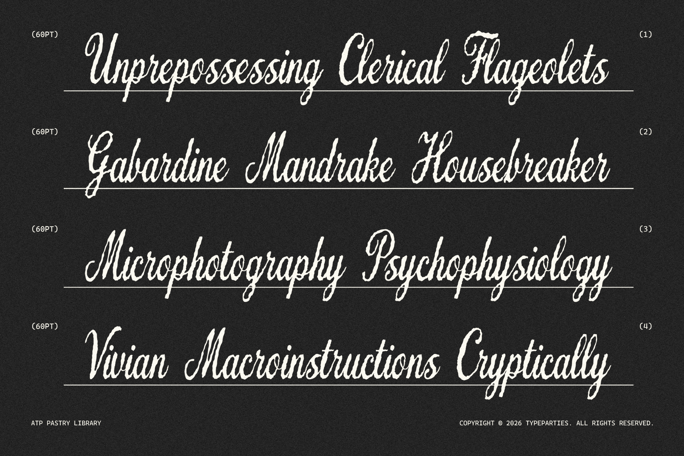Elegant script font showcased in 60PT on dark background ideal for graphic design typography templates and mockups. Keywords: script, font, typography, design.