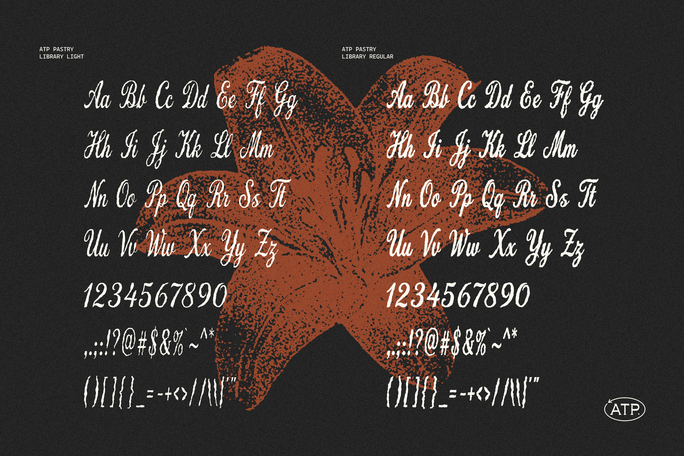 Elegant script font display featuring uppercase and lowercase letters numbers and special characters with a floral background. Perfect for designers.