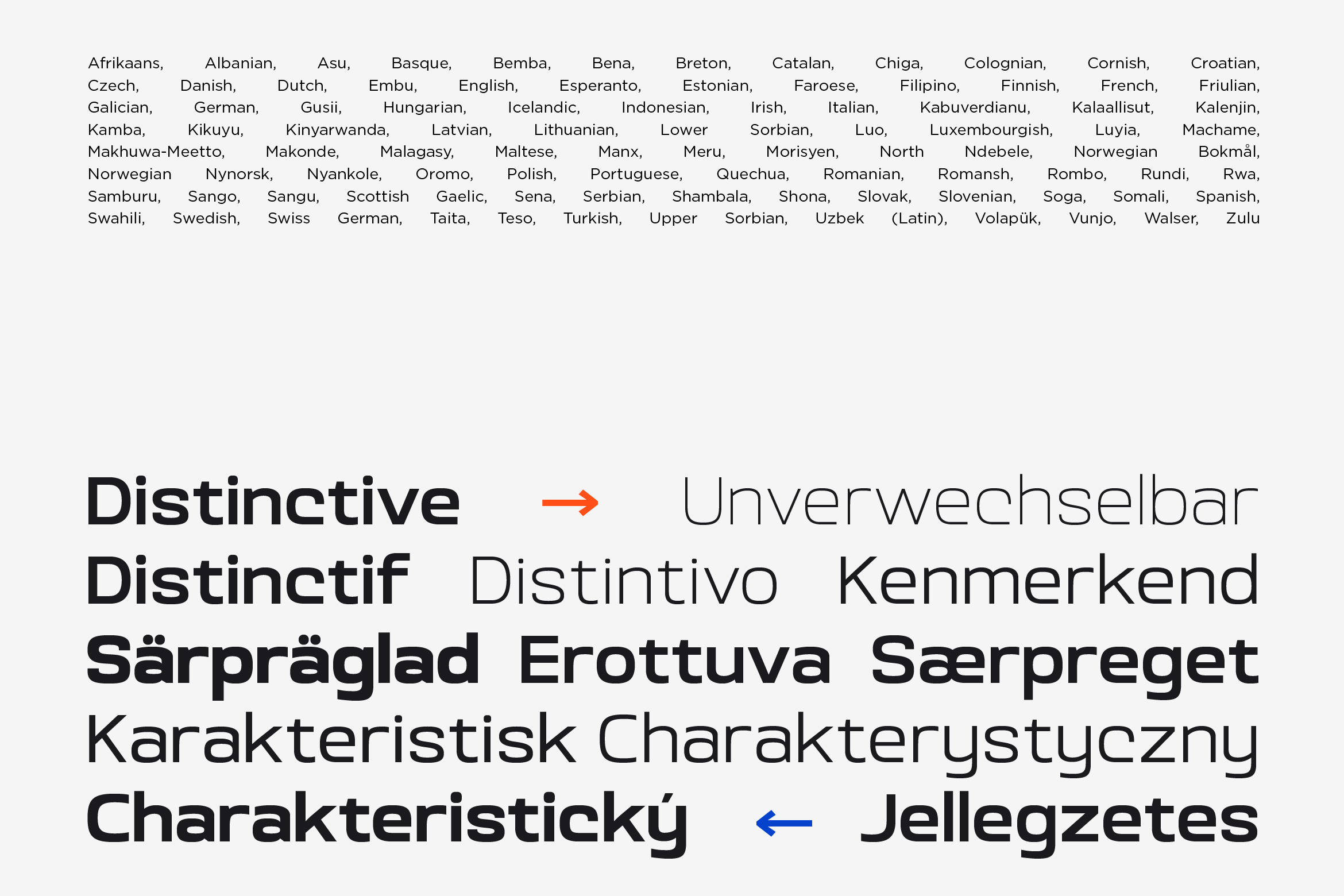 Language support list with distinctive multilingual character examples