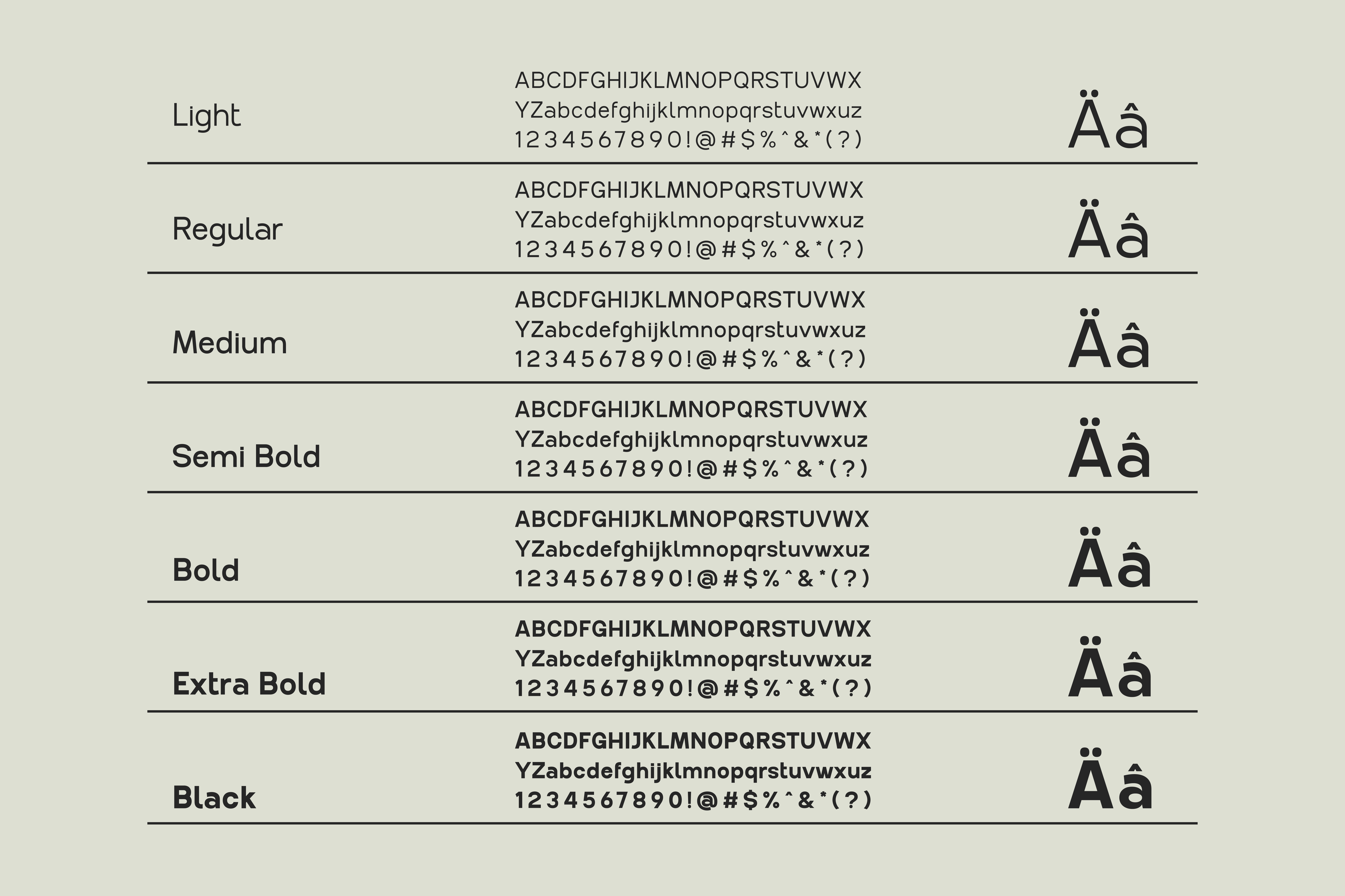 Font family showcasing various weights from Light to Black with uppercase, lowercase, numbers and symbols. Suitable for graphic designers.