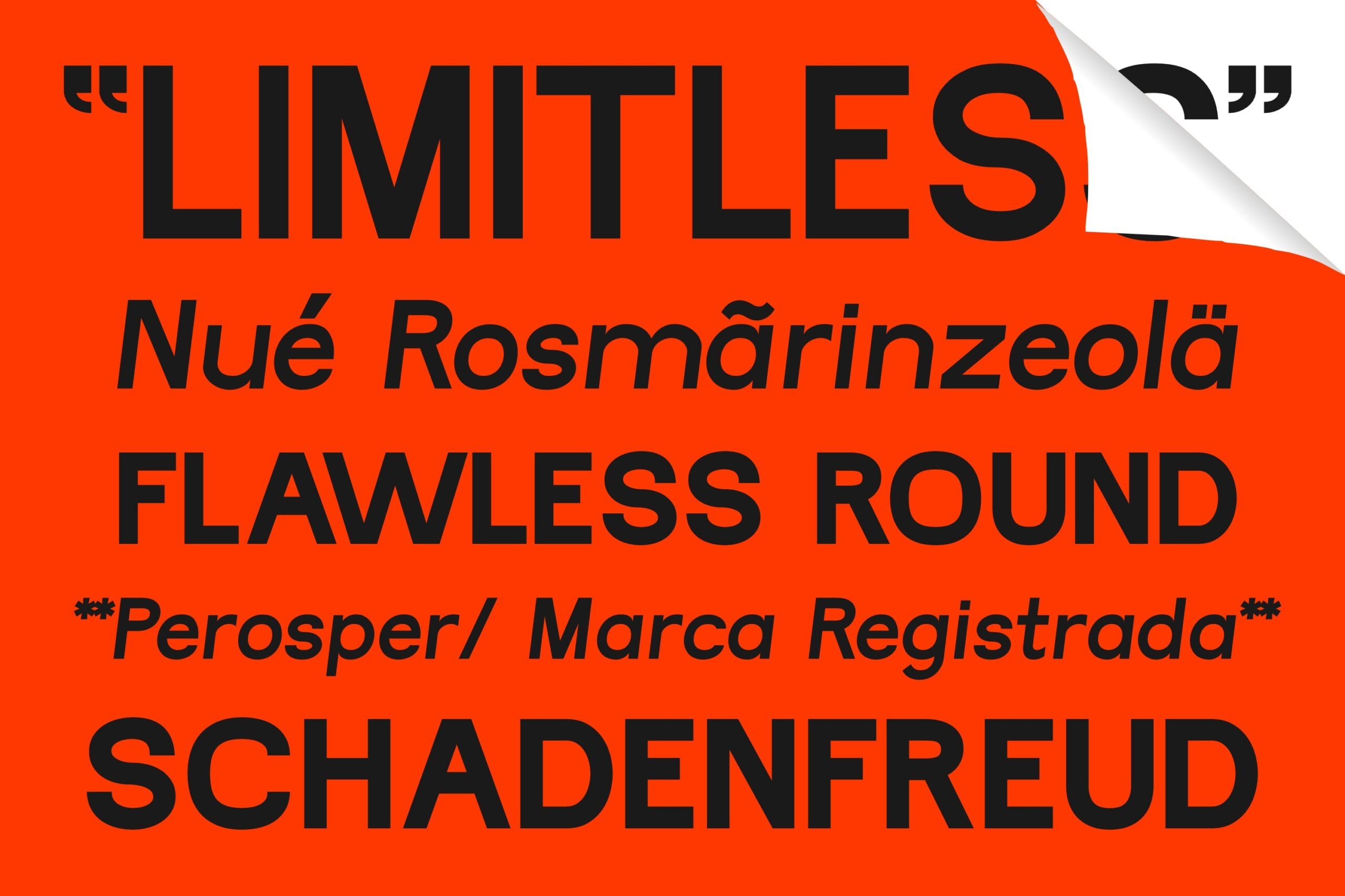 Bold sans serif font specimen with international characters on vibrant orange background with page curl