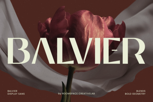 Balvier font display with cream serif letters over close-up pink rose petals, sans serif variant credit at bottom
