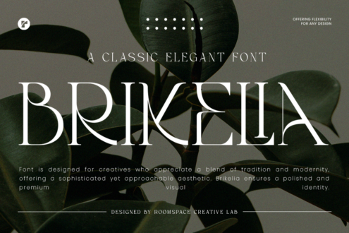 Brikella serif font display over botanical leaf imagery with dot pattern