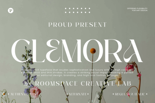 Qlemora serif font display with dried flowers on sage green background