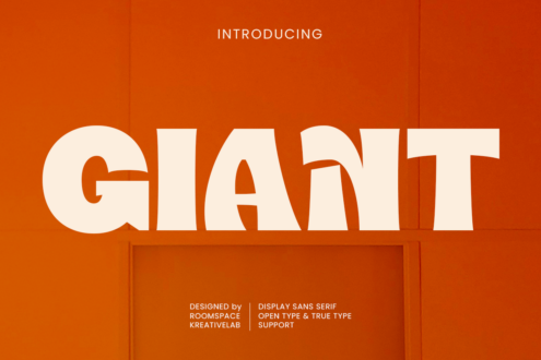 Giant typeface intro slide for font named Giant on bold orange background with designer credits