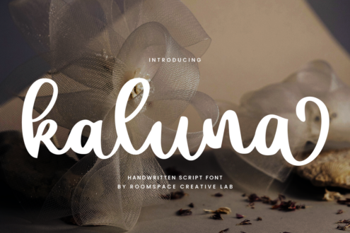 RaKuma handwritten script font intro with ethereal tulle fabric on neutral toned background