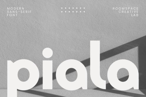 Piala modern sans-serif font on textured concrete wall with shadows