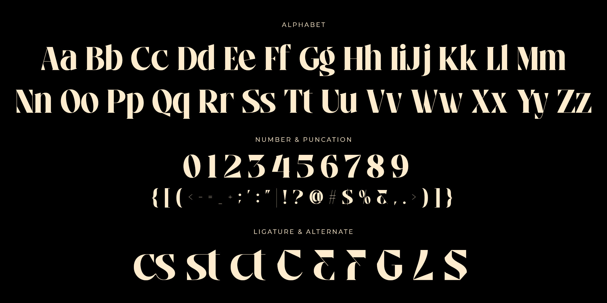 Amoure serif typeface character set with full alphabet numbers punctuation ligatures