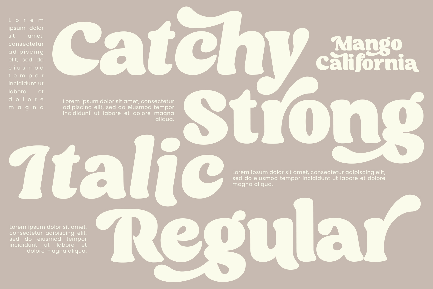 Oversized retro serif typeface showing Catchy Strong Italic on muted background