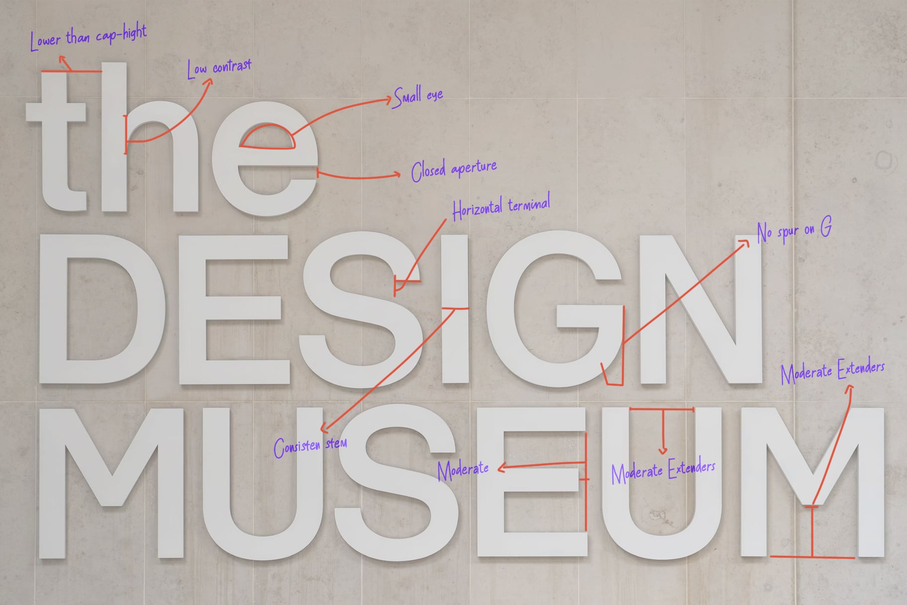 Typography anatomy guide showing letterforms with labeled design features like eye, stem, serifs, terminals