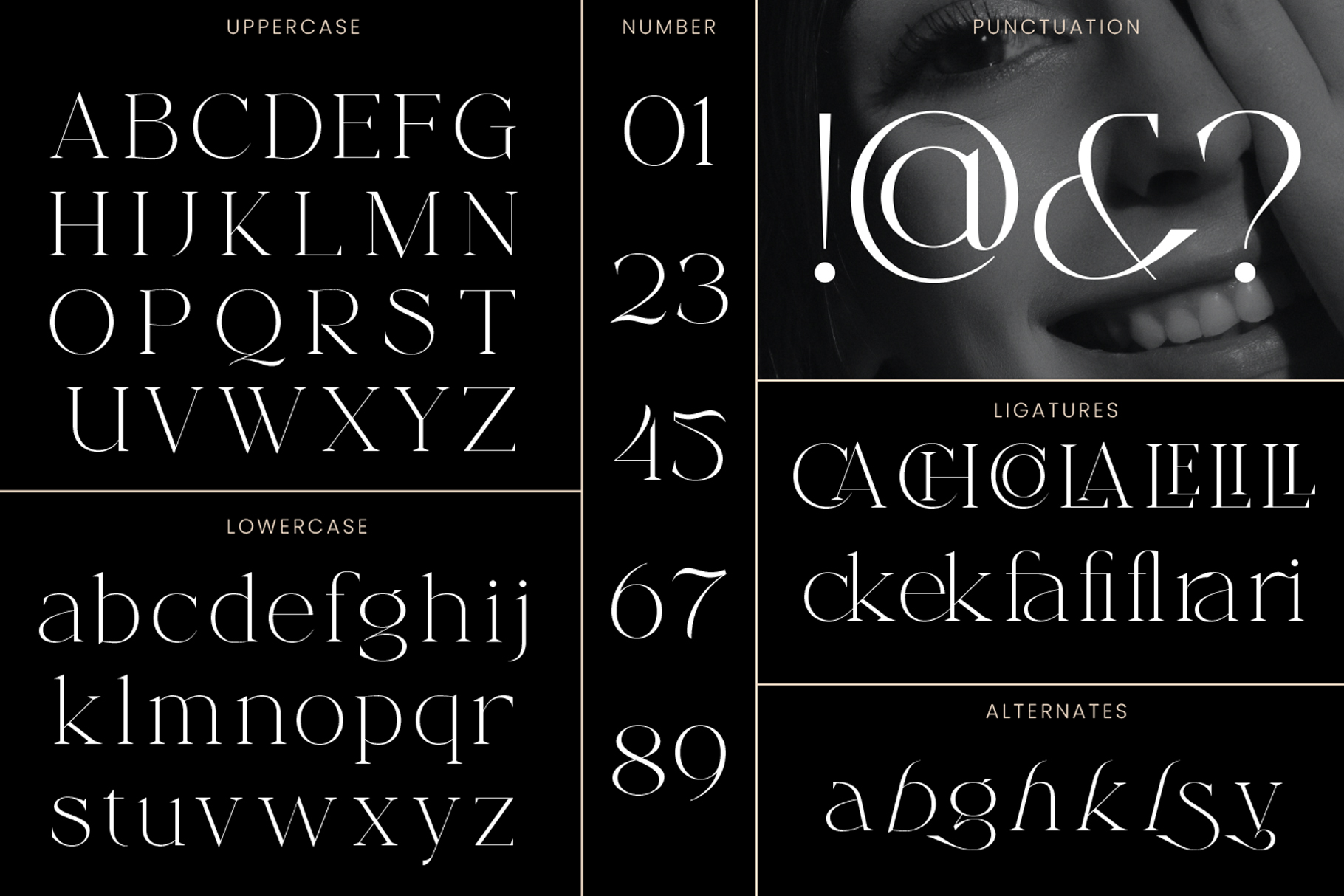 Serif font character set showing uppercase, lowercase, numbers, punctuation, ligatures