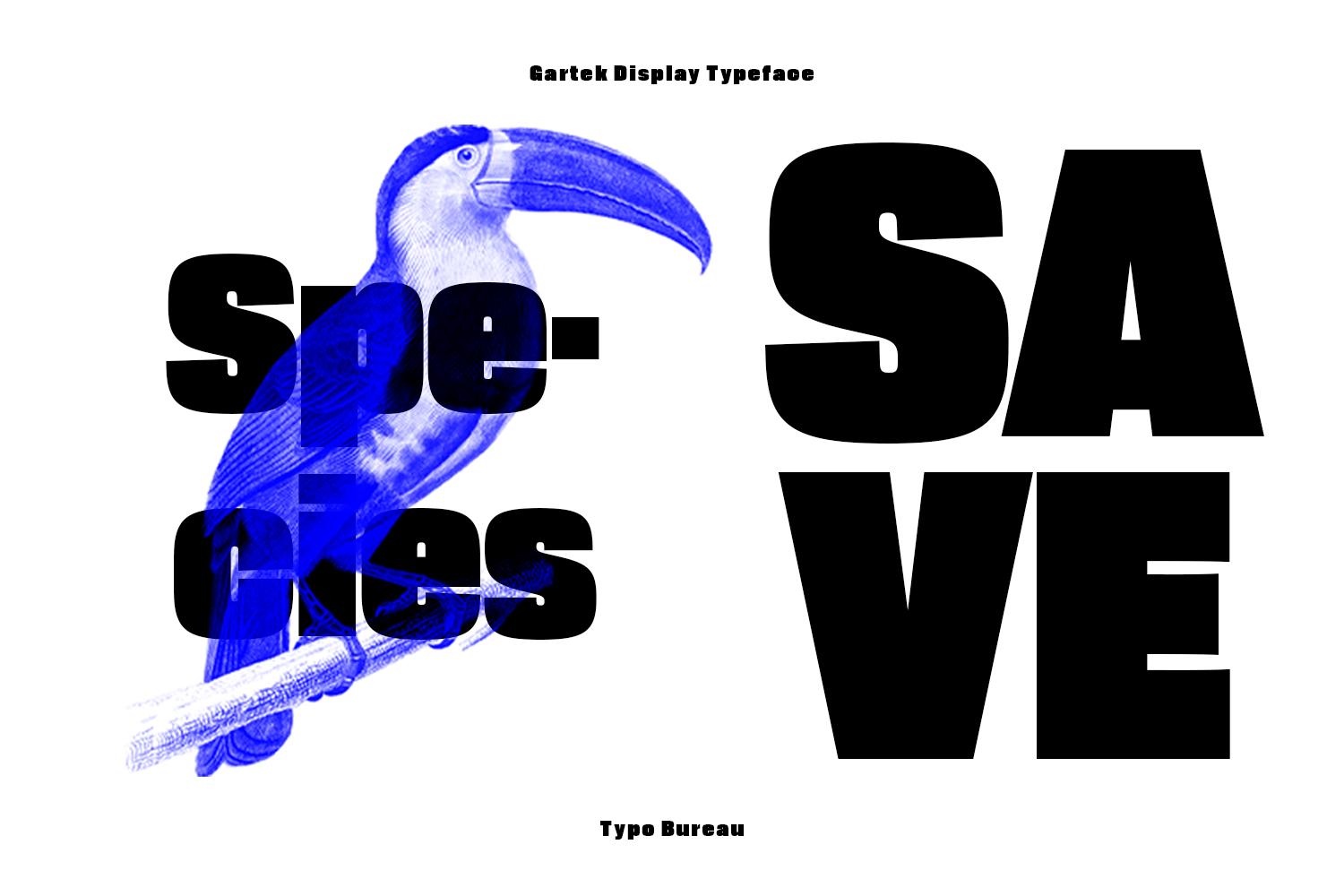 Gartek Display Typeface showing bold black letters overlaid with blue toucan illustration on left, stacked SAVE text on right