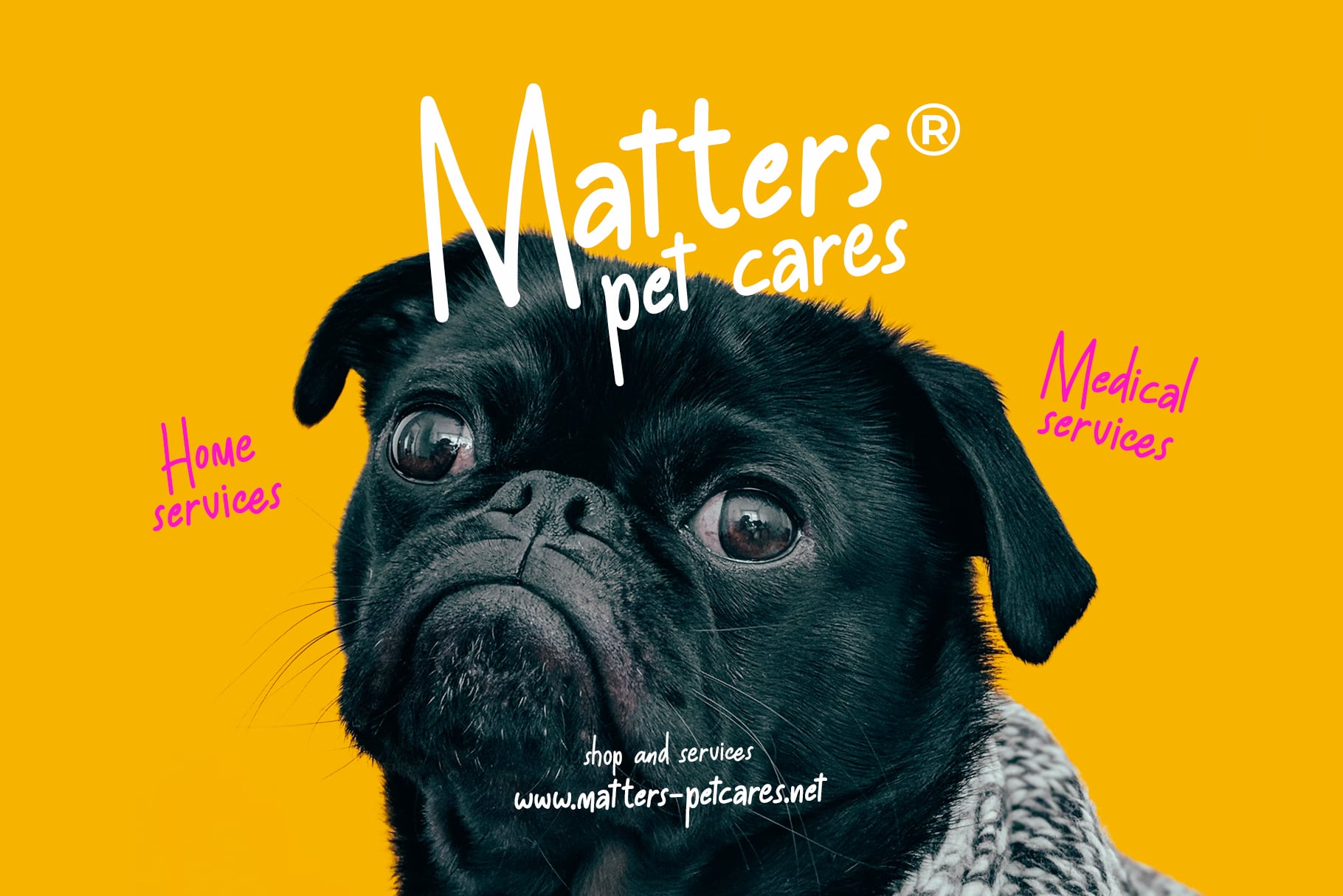 Black pug staring straight at camera on bright yellow background with pet care service text overlay