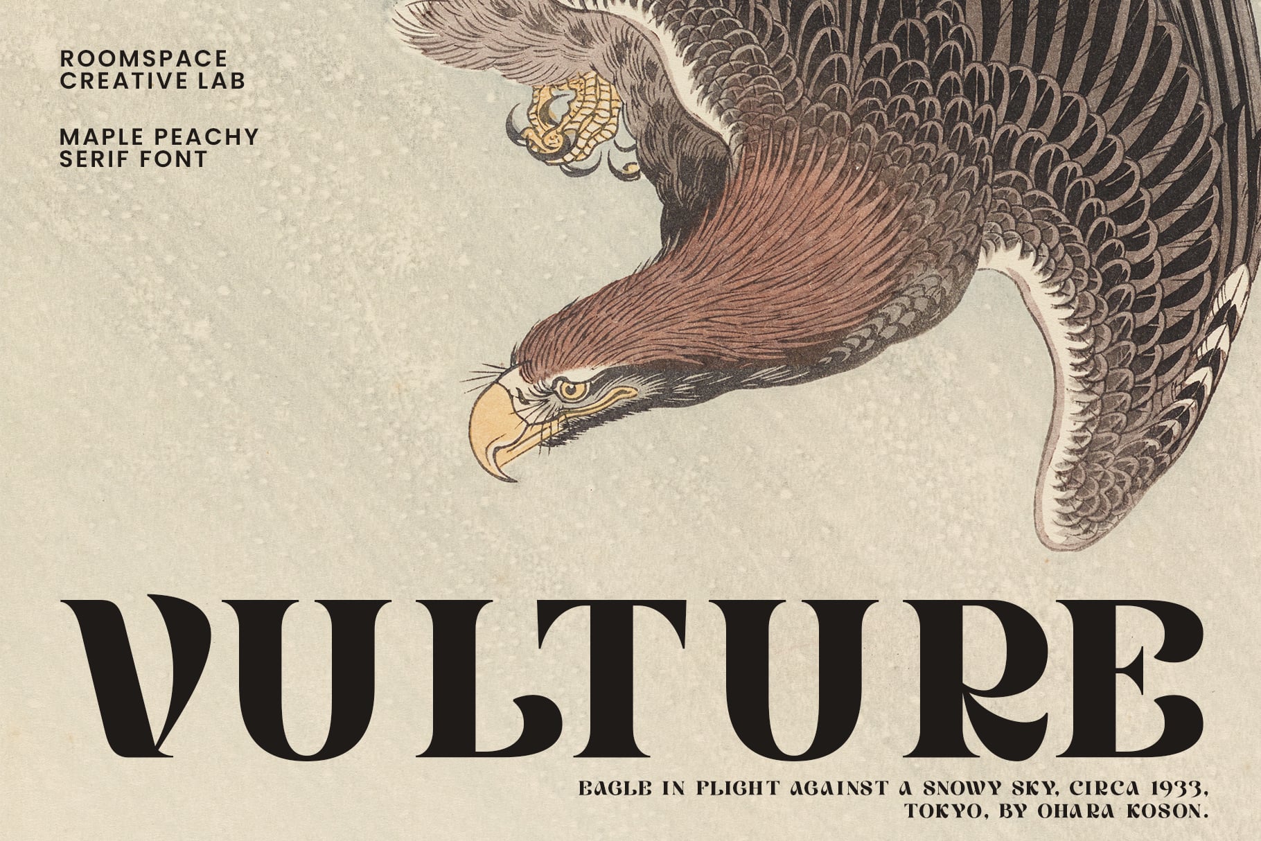 Vintage eagle illustration with Vulture title serif font design