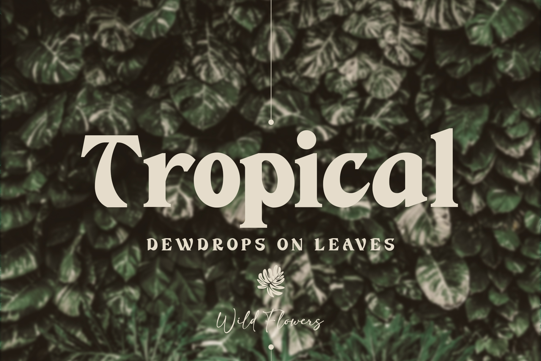 Tropical font with dewdrops on leaves text overlay on layered foliage background