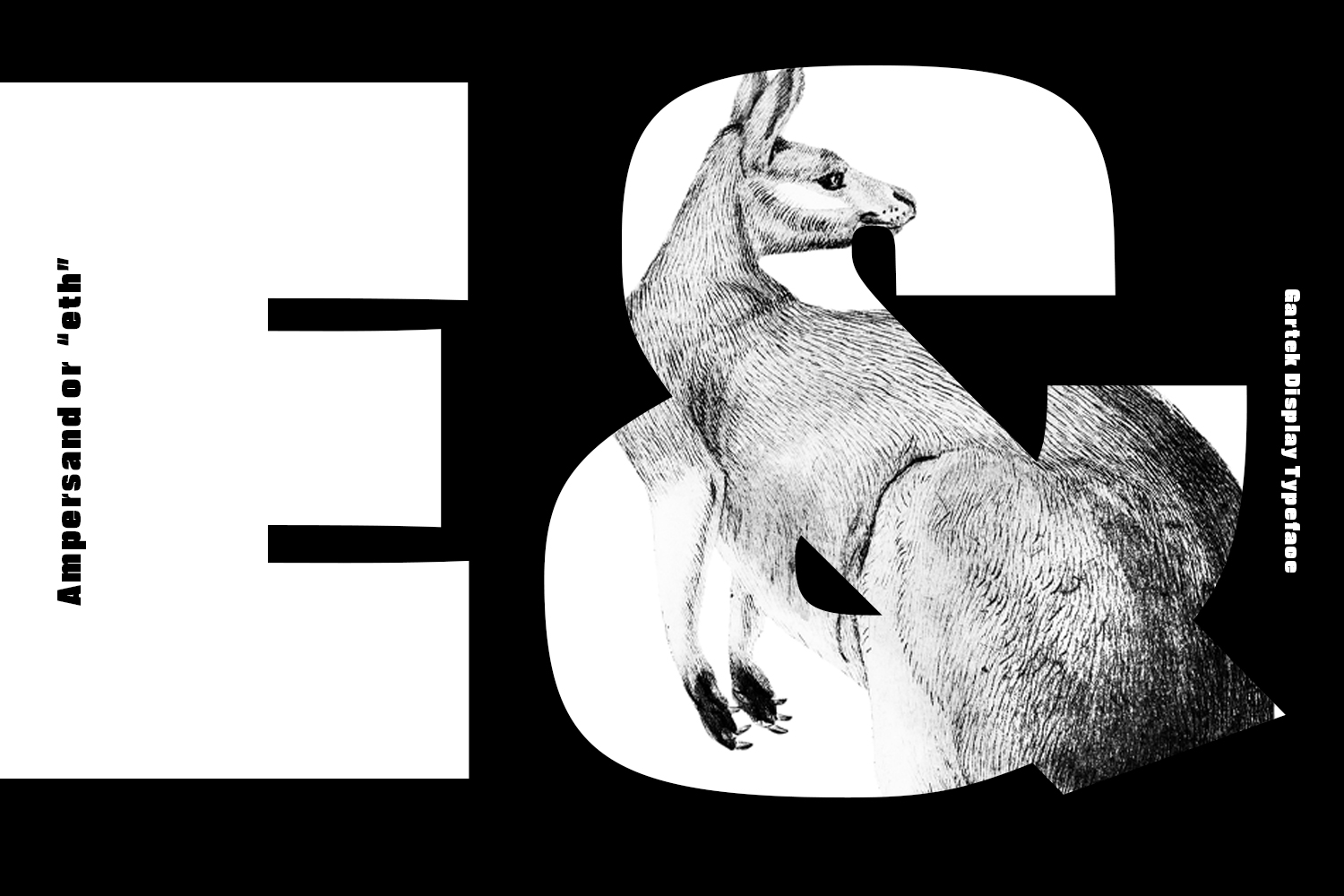 Hand-drawn llama illustration with geometric shapes on black background, minimal design