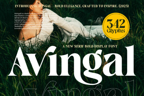 Avingal serif display font with 342 glyphs, elegant curves, sharp contrast shown over moody nature background
