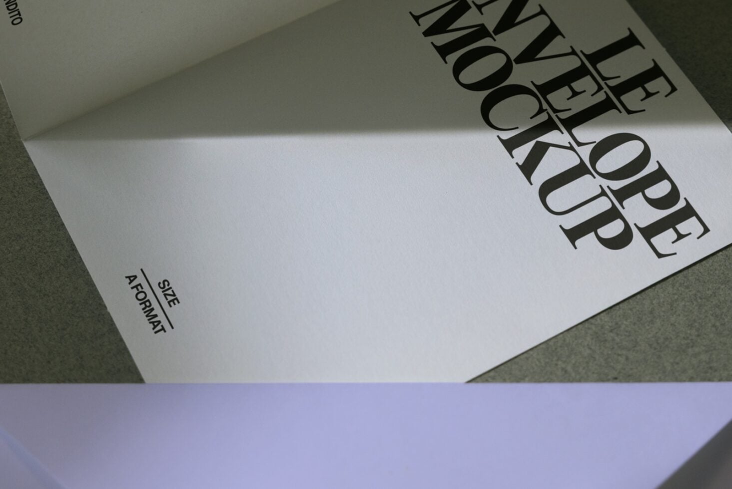 Opened A5 format brochure lying flat with bold serif typography visible