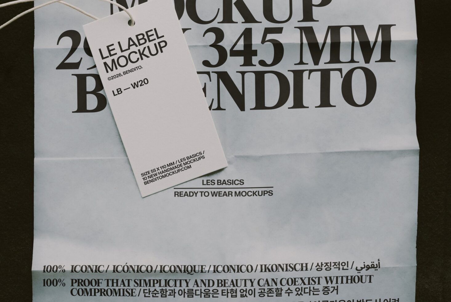 Hang tag label mockup showing size specs on minimalist background with serif typography