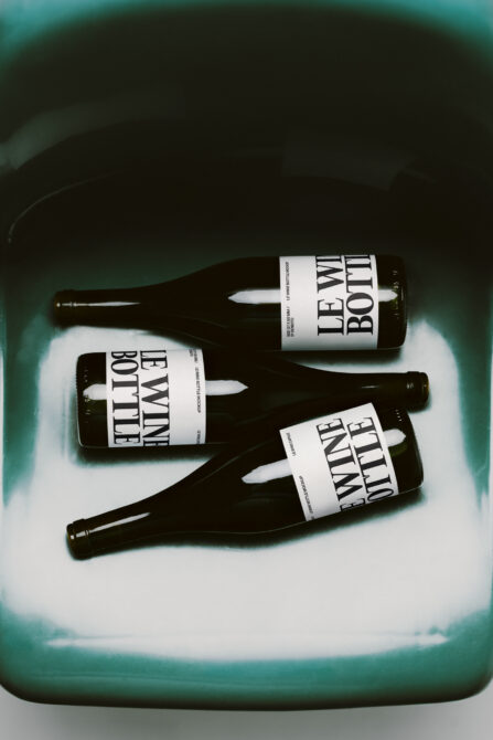 Three dark beer bottles with bold white labels on a soft teal surface with moody lighting