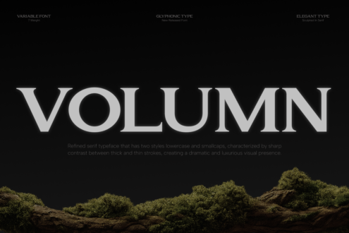 Volumn serif font specimen with description text over earthy moss textured background