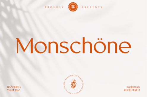 MONSCHONE font by Bagerich Type Foundry