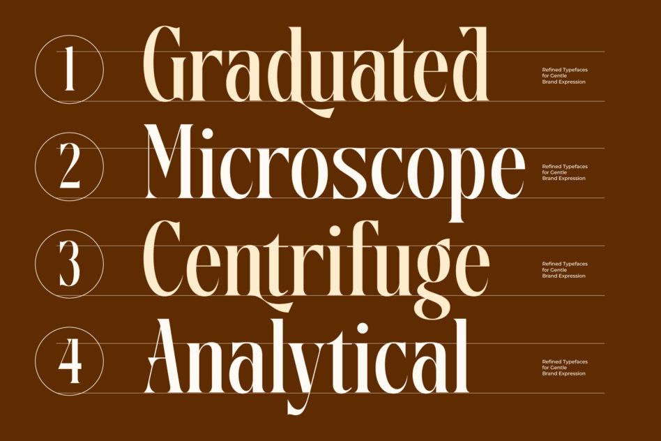 Four serif typeface names listed with numbered circles on brown background