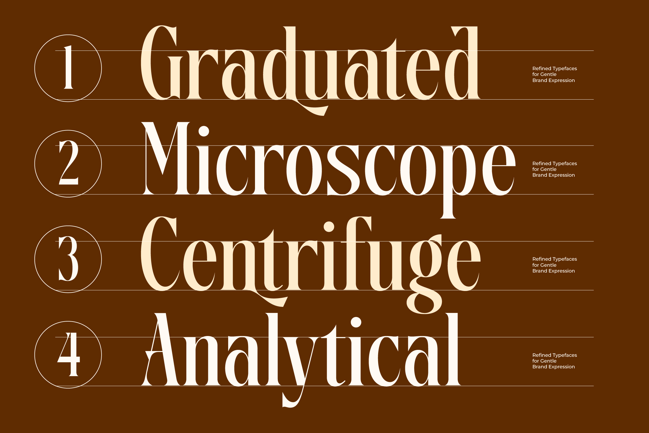 Four serif typeface names listed with numbered circles on brown background