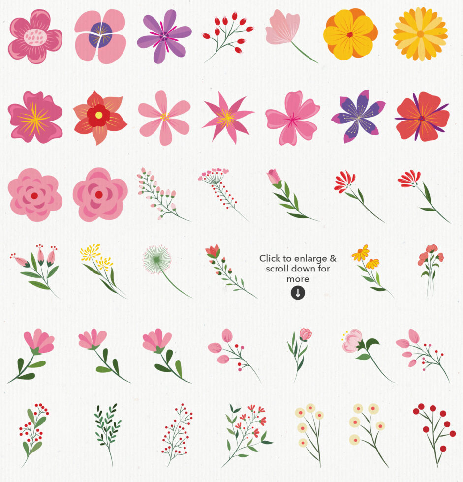 Collection of 40+ colorful illustrated flowers in pink, red, yellow, purple including daisies, roses, florals with stems on white background
