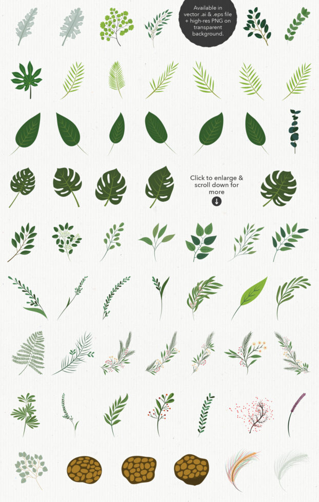 Grid layout showing 40+ hand-drawn leaf illustrations in varying green shades, ferns, monstera, botanical elements available as vector graphics