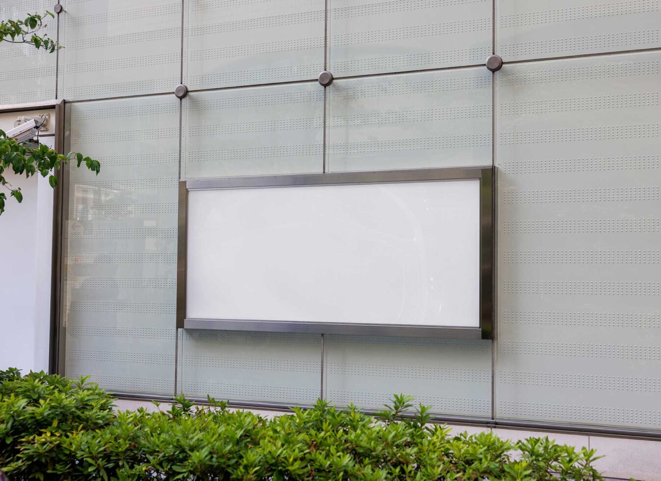 Blank storefront window display mounted on perforated metal wall with plants below