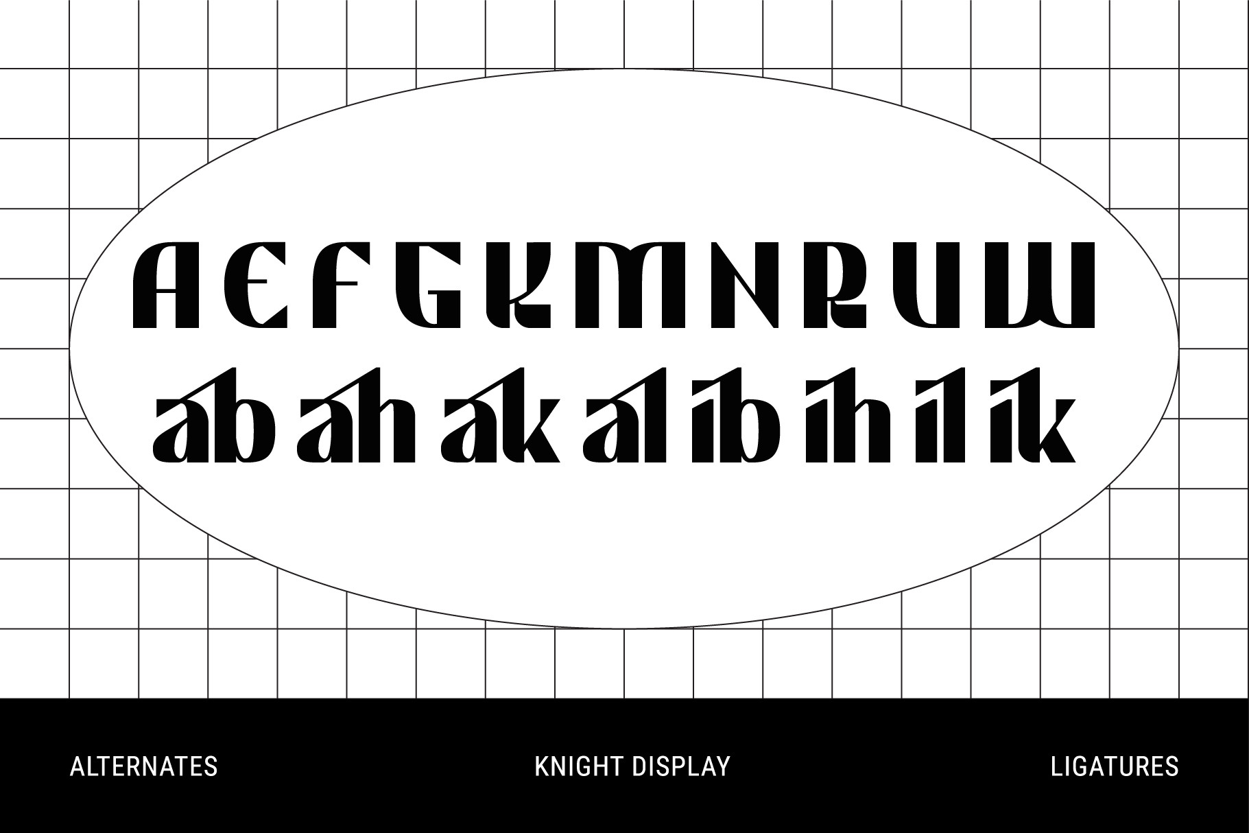 Serif font display in oval frame showing alternates, ligatures on grid background