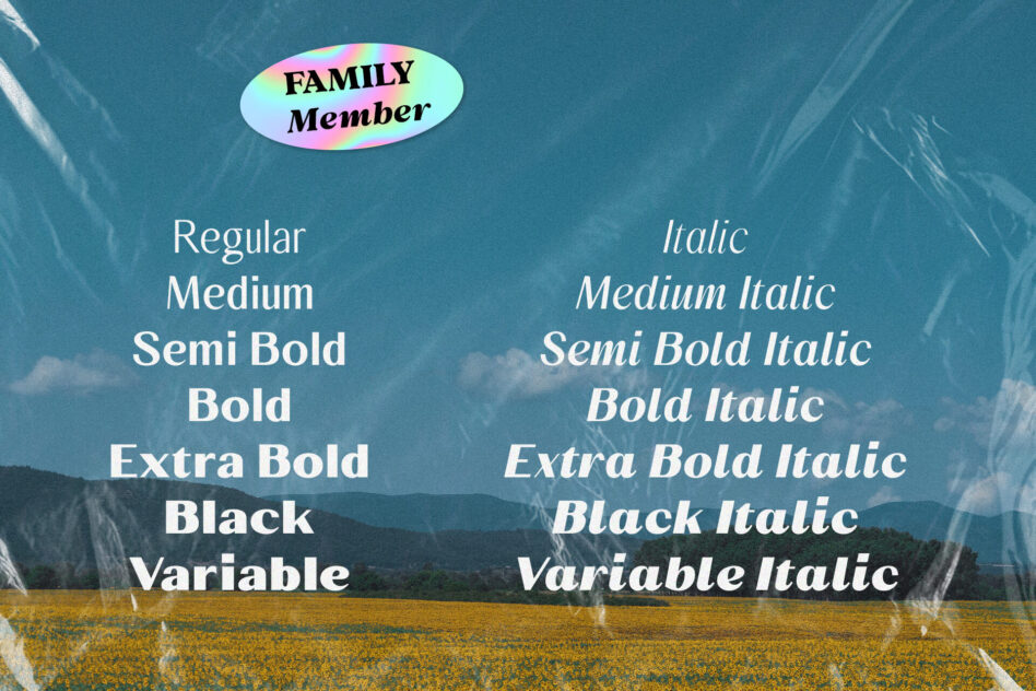 Family Member font family with 12 weights shown over dreamy landscape background