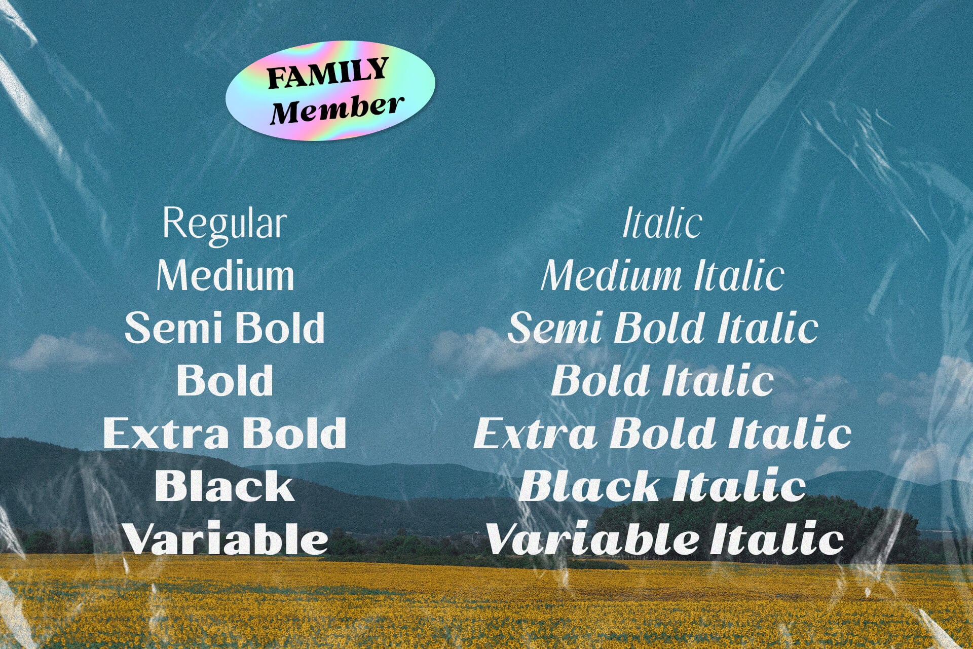Family Member font family with 12 weights shown over dreamy landscape background