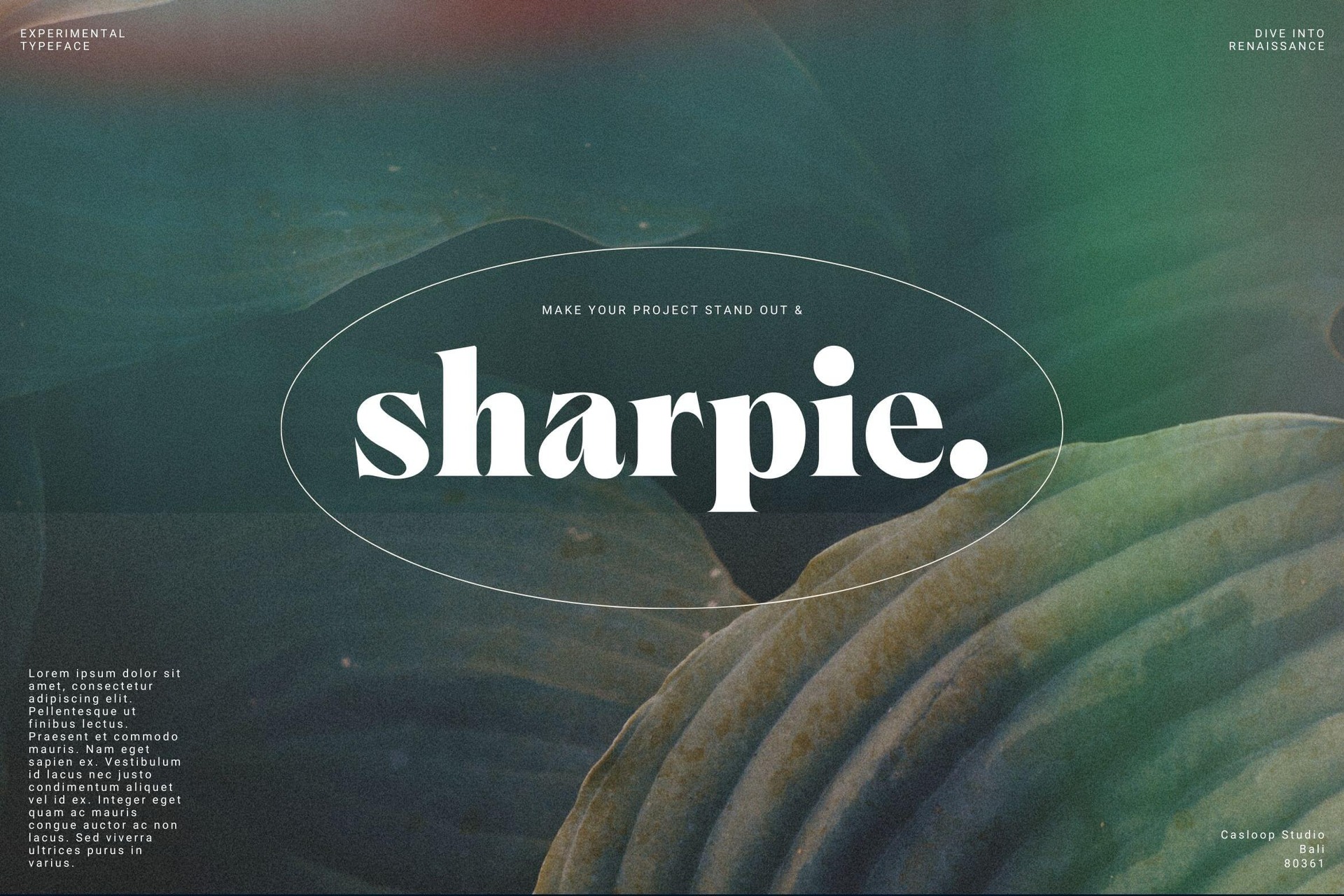 Sharpie typeface displayed on moody teal background with organic curves, experimental design showcase