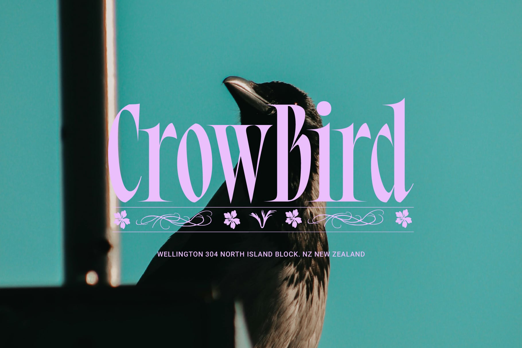 Crowbird typography mockup with teal background, crow silhouette, pink serif lettering