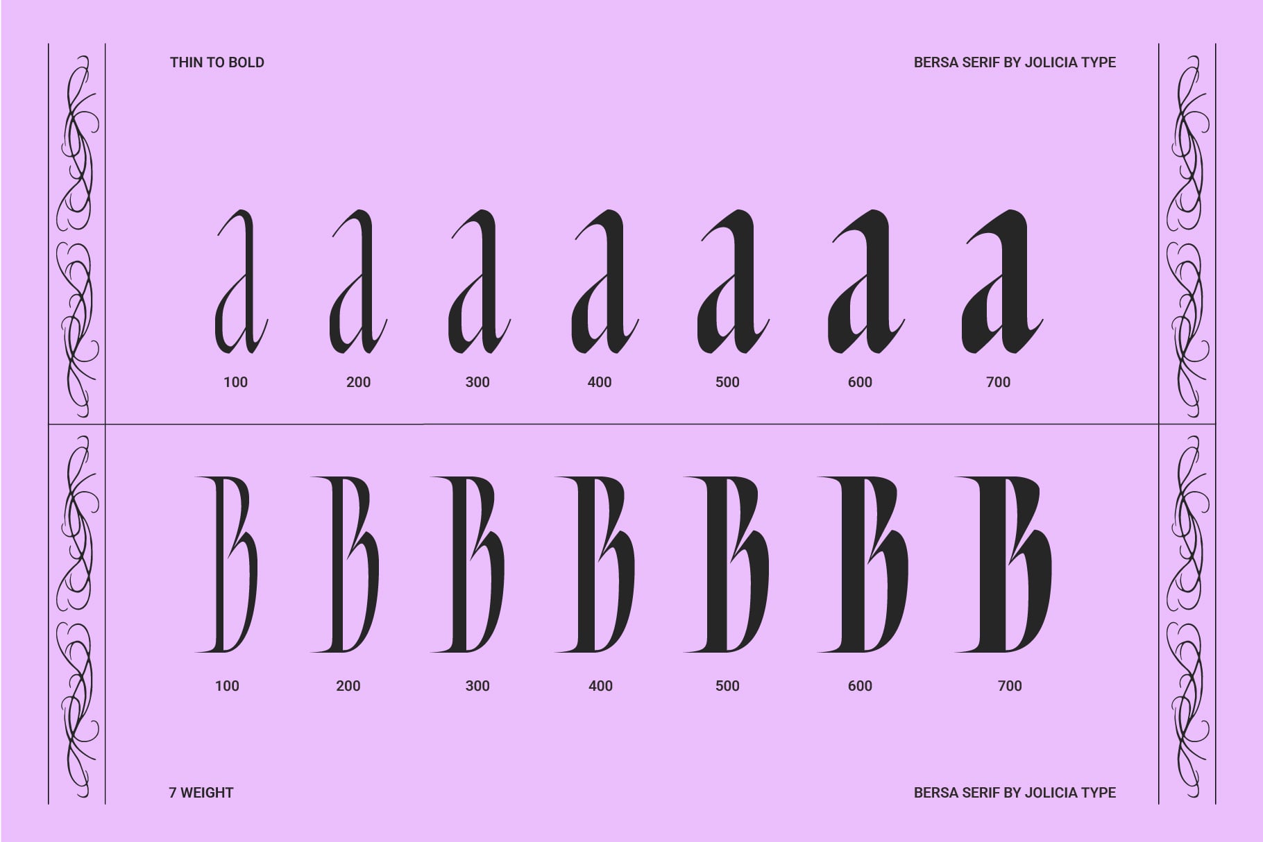 Bersa serif font weight variations from thin to bold on pink background