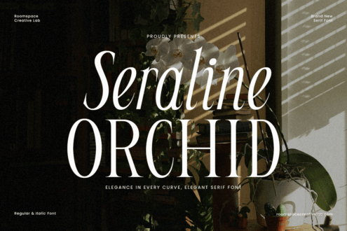 Seraphine Orchid serif font display with potted orchid plant in sunlit room
