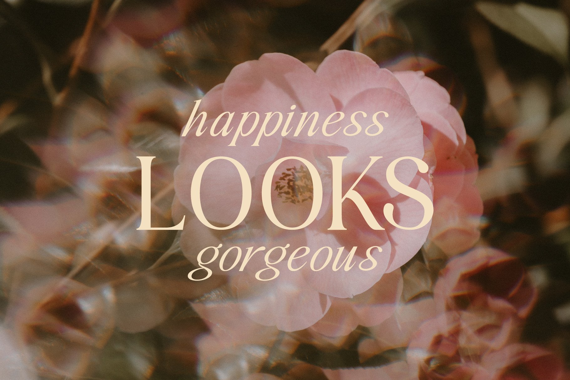 Cream serif text reading happiness looks gorgeous overlaid on pink roses