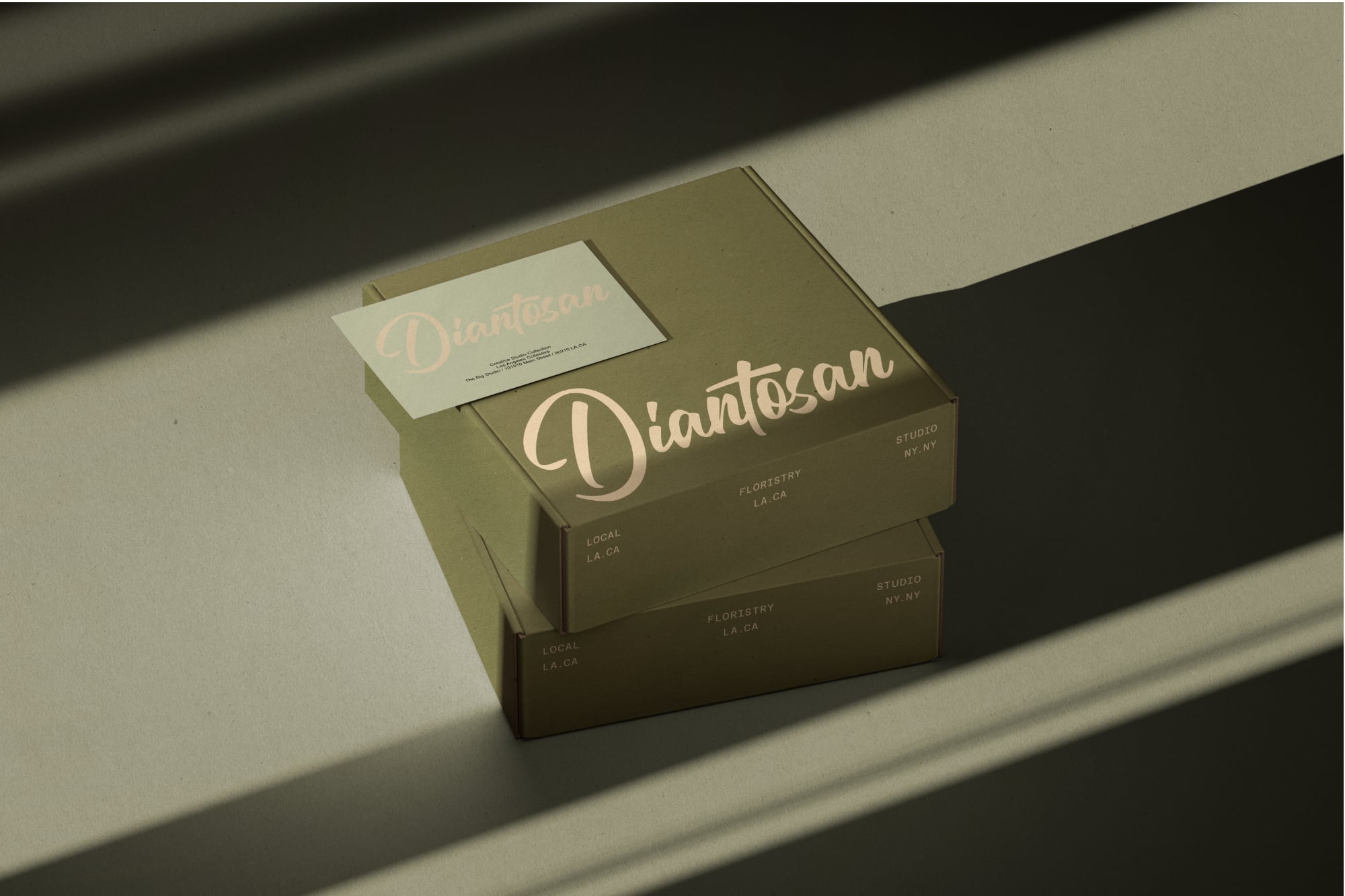 Stacked olive boxes with Dianiossan branding, business card, natural lighting with shadows