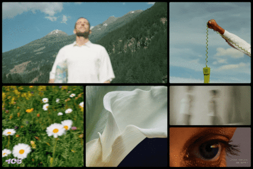 Collage of nature images including mountains, daisies, calla lily, and close-up of an eye, with a disconnected phone for graphics template usage.