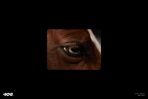 Close-up of a horse eye on a black background in a digital template for designers. Great for mockups and graphic design. High-resolution asset for creatives.