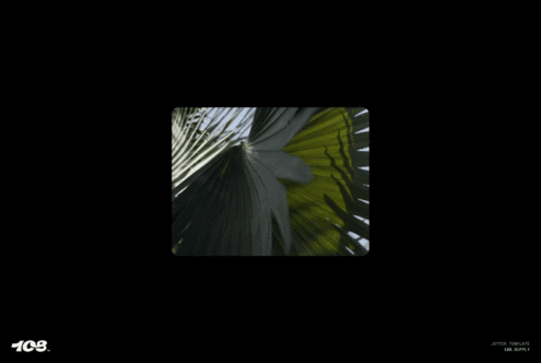 Animated template featuring abstract palm leaf pattern with movement effect suitable for graphic design mockups. Ideal for designers seeking dynamic visuals.