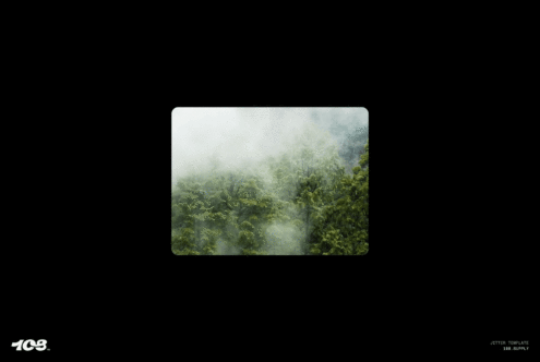 Foggy forest landscape with lush trees enveloped in misty air suitable for nature graphics or mockup templates ideal for designers and creatives.