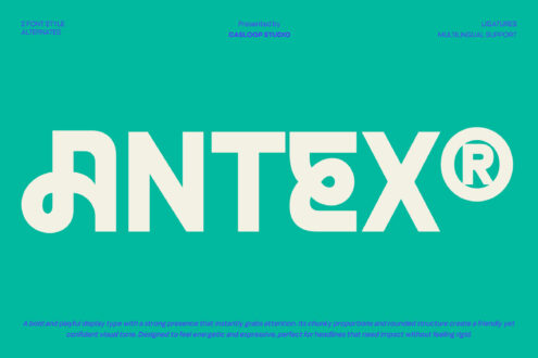Bold display typeface with chunky proportions on bright turquoise background
