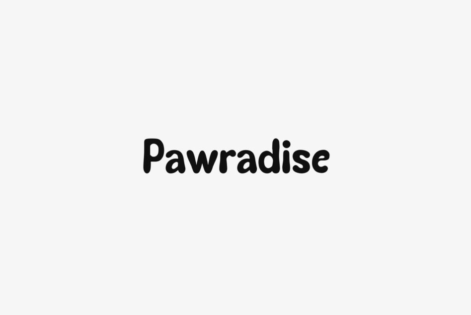 Pawradise font displayed in bold black lettering on light gray background