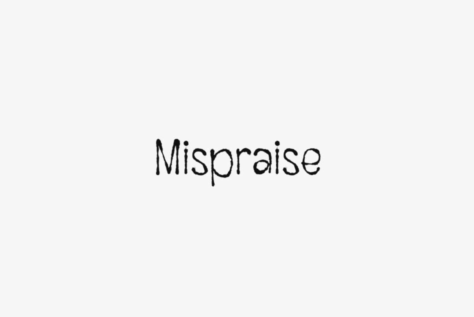 Mispraise word displayed in messy handwritten font on light gray background