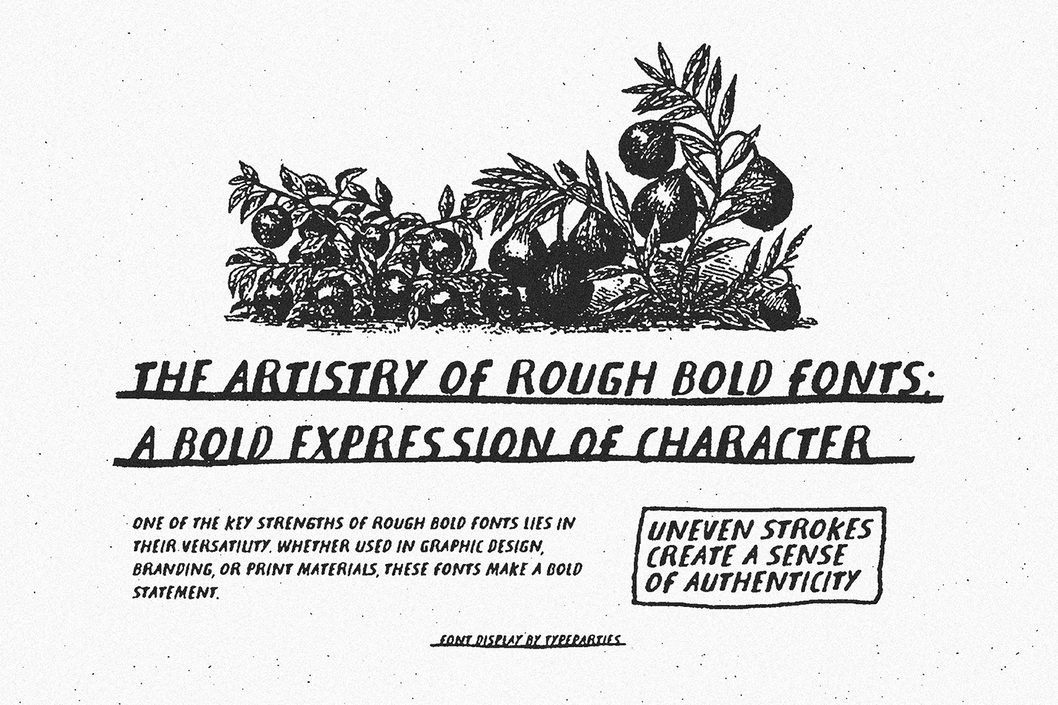 Vintage botanical sketch with rough bold italic text about font character displayed by TypeParties