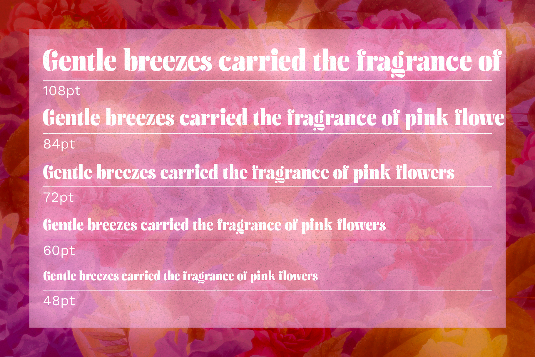 Font mockup showing serif typeface at multiple sizes over vibrant floral background